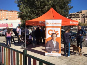 Carpa_Toledo
