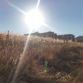 Tras un nuevo incendio, Ciudadanos (C's) insiste en la limpieza de solares Tras un nuevo incendio, Ciudadanos (C's) insiste en la limpieza de solares