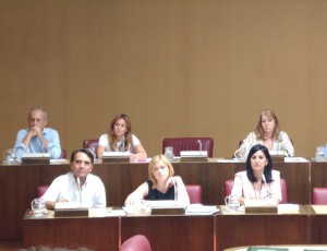 Pleno Ayuntamiento junio 2016