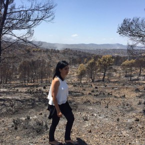 C's hace un llamamiento a extremar la prudencia en el monte para evitar incendios forestales