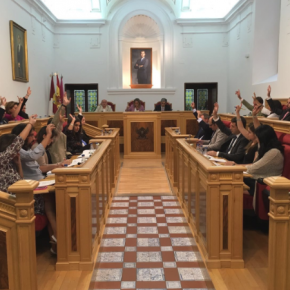 Aprobada por unanimidad del Pleno la propuesta de Ciudadanos para elaborar y poner en marcha un plan de arbolado en Toledo