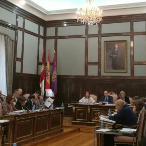 La Diputación Provincial solicitará a la Junta que regule las profesiones en el ámbito del deporte