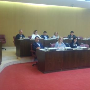 Ciudadanos consigue el compromiso del Ayuntamiento para impulsar un gran Pacto Social por la Lectura