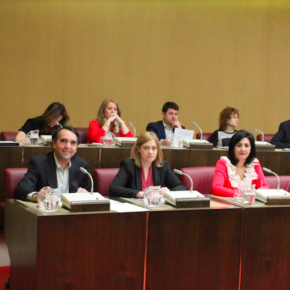 El pleno aprueba la propuesta de Ciudadanos de crear un ‘Canal Booktuber’ para fomentar la lectura entre los jóvenes albaceteños