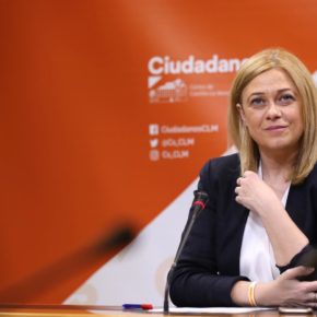 Picazo reivindica el papel de Ciudadanos en su primer año en las Cortes: “política útil para rebajar la bronca”